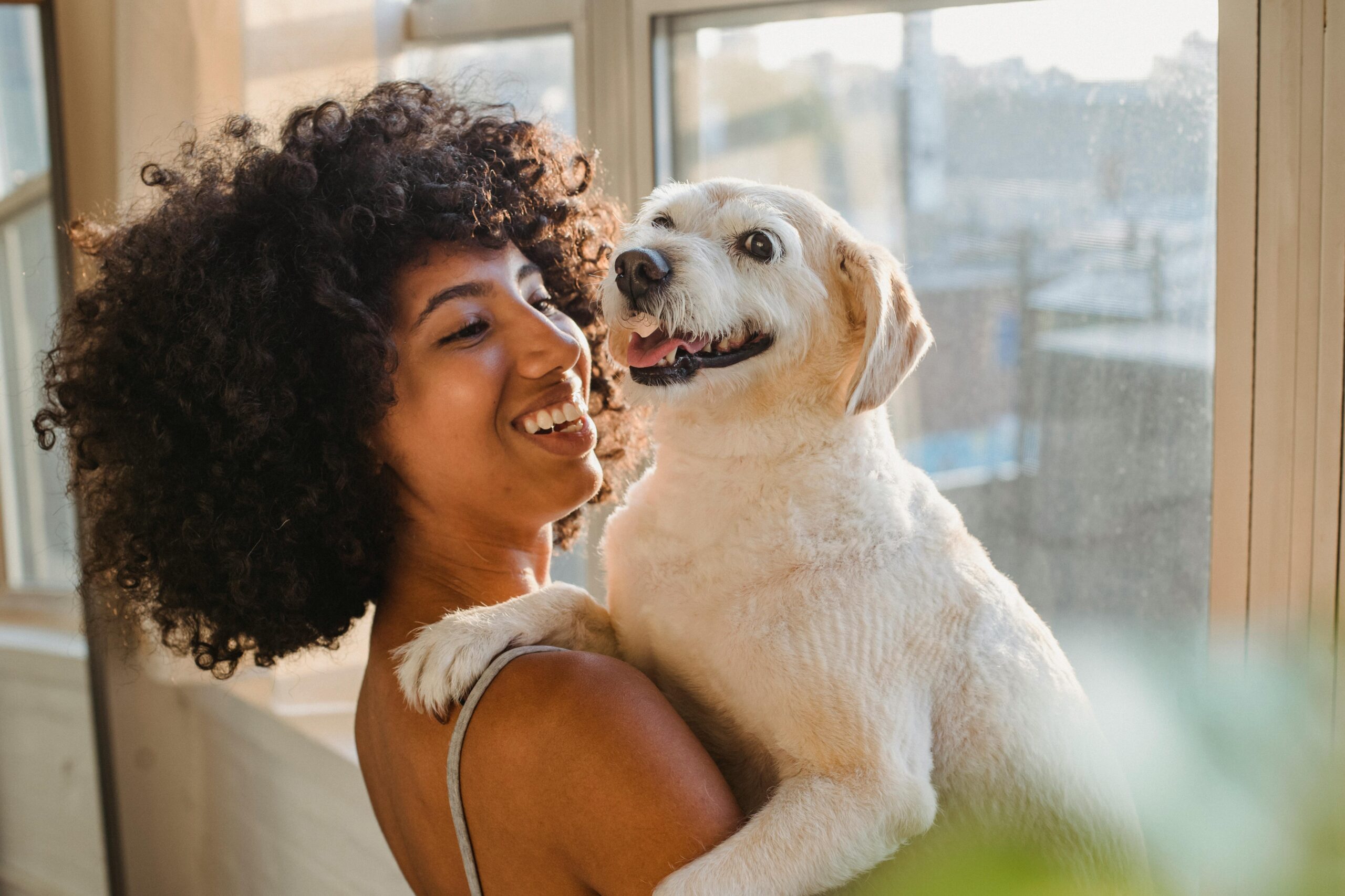"Exploring the Benefits of Health Insurance for Purebred Dogs"